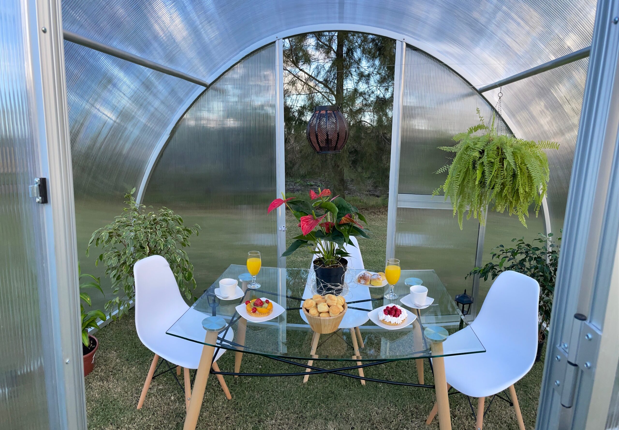 Invernadero de jardín en Uruguay